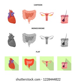 Vector illustration of body and human icon. Set of body and medical stock vector illustration.