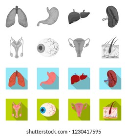 Vector illustration of body and human icon. Collection of body and medical stock symbol for web.