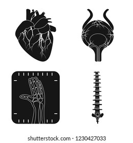Vector illustration of body and human icon. Set of body and medical stock symbol for web.
