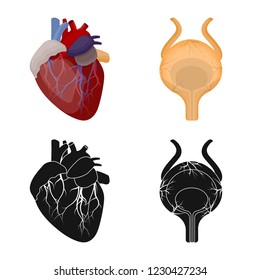 Vector illustration of body and human icon. Set of body and medical stock symbol for web.