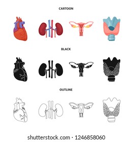 Vector illustration of body and human icon. Collection of body and medical stock symbol for web.