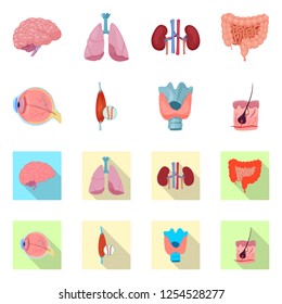 Vector illustration of body and human icon. Set of body and medical stock vector illustration.