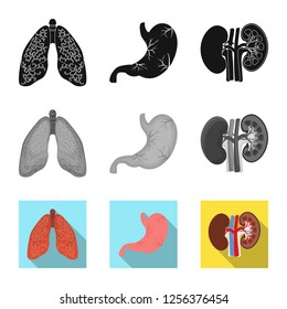 Vector illustration of body and human icon. Collection of body and medical stock symbol for web.