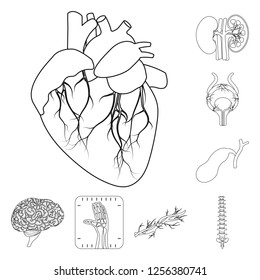 Vector illustration of body and human icon. Collection of body and medical stock vector illustration.