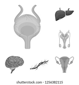 Vector illustration of body and human icon. Collection of body and medical stock symbol for web.