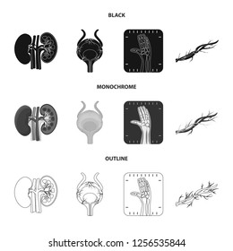 Vector illustration of body and human icon. Set of body and medical stock symbol for web.