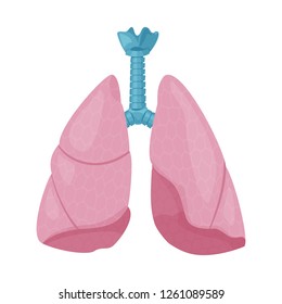 Vector illustration of body and human icon. Collection of body and medical stock vector illustration.