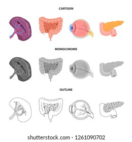 Vector illustration of body and human icon. Collection of body and medical vector icon for stock.