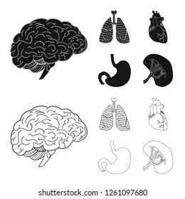 Vector illustration of body and human icon. Collection of body and medical stock symbol for web.