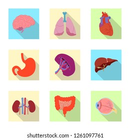 Vector illustration of body and human icon. Collection of body and medical vector icon for stock.