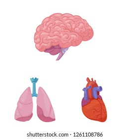 Vector illustration of body and human icon. Collection of body and medical vector icon for stock.