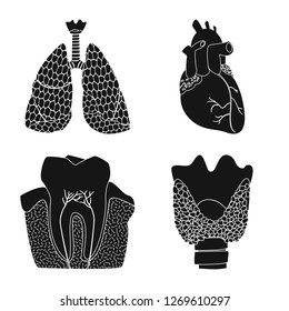 Vector illustration of body and human icon. Set of body and medical vector icon for stock.