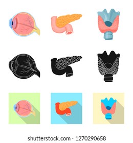 Vector illustration of body and human icon. Collection of body and medical stock vector illustration.