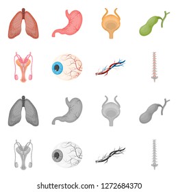 Vector illustration of body and human icon. Set of body and medical stock vector illustration.
