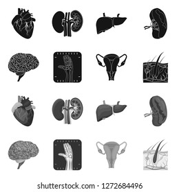 Vector illustration of body and human icon. Collection of body and medical vector icon for stock.