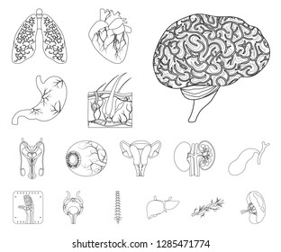 Vector illustration of body and human icon. Set of body and medical stock symbol for web.