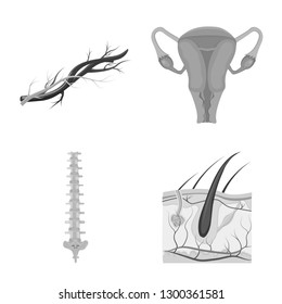 Vector illustration of body and human icon. Set of body and medical stock vector illustration.