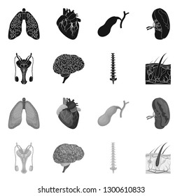 Vector illustration of body and human icon. Collection of body and medical stock vector illustration.
