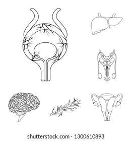 Vector illustration of body and human icon. Set of body and medical stock vector illustration.