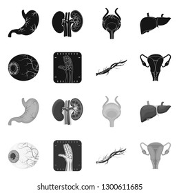 Vector illustration of body and human icon. Collection of body and medical stock vector illustration.