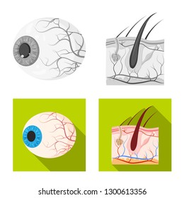 Vector illustration of body and human icon. Set of body and medical stock symbol for web.