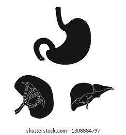 Vector illustration of body and human icon. Set of body and medical vector icon for stock.