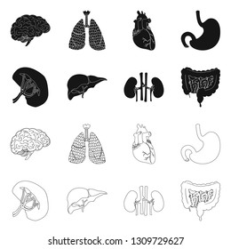 Vector illustration of body and human icon. Set of body and medical stock vector illustration.