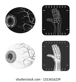 Vector illustration of body and human icon. Collection of body and medical stock vector illustration.