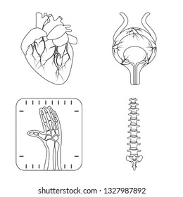 Vector illustration of body and human icon. Set of body and medical stock symbol for web.