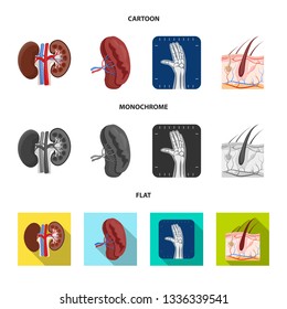 Vector illustration of body and human icon. Collection of body and medical vector icon for stock.