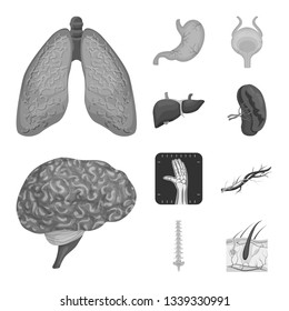 Vector illustration of body and human icon. Collection of body and medical vector icon for stock.
