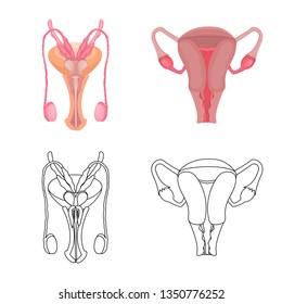 Vector illustration of body and human icon. Set of body and medical stock vector illustration.