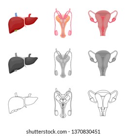 Vector illustration of body and human icon. Set of body and medical stock symbol for web.
