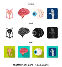Vector illustration of body and human icon. Collection of body and medical stock symbol for web.