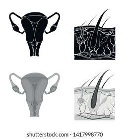 Vector illustration of body and human icon. Collection of body and medical stock vector illustration.
