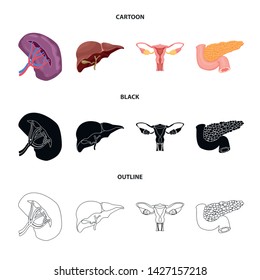 Vector illustration of body and human icon. Collection of body and medical stock vector illustration.