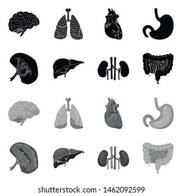Vector illustration of body and human icon. Set of body and medical stock symbol for web.