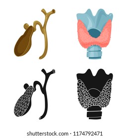 Vector illustration of body and human logo. Set of body and medical vector icon for stock.