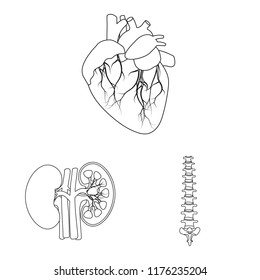 Vector illustration of body and human logo. Set of body and medical stock symbol for web.