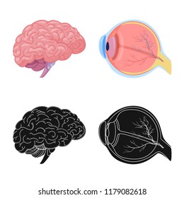 Vector illustration of body and human logo. Collection of body and medical stock vector illustration.