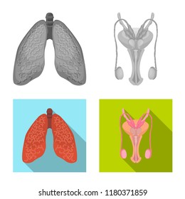 Vector illustration of body and human logo. Collection of body and medical vector icon for stock.