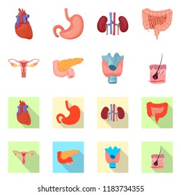Vector illustration of body and human logo. Set of body and medical stock vector illustration.
