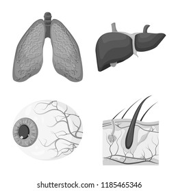 Vector illustration of body and human logo. Collection of body and medical stock symbol for web.