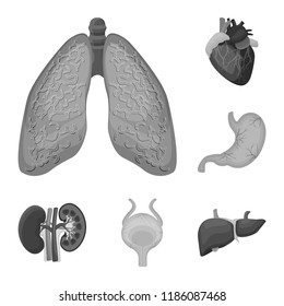 Vector illustration of body and human logo. Collection of body and medical stock symbol for web.