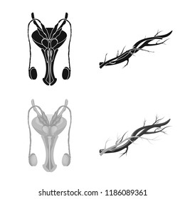 Vector illustration of body and human logo. Collection of body and medical stock symbol for web.