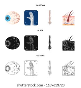 Vector illustration of body and human logo. Set of body and medical stock symbol for web.