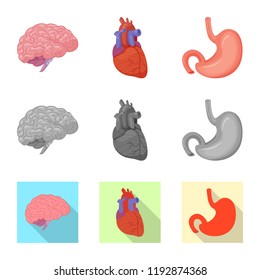 Vector illustration of body and human logo. Collection of body and medical stock vector illustration.