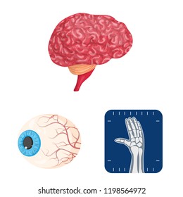 Vector illustration of body and human logo. Set of body and medical stock vector illustration.