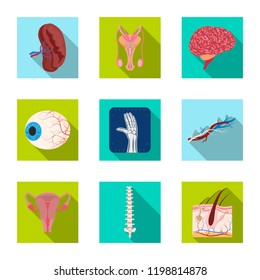 Vector illustration of body and human logo. Set of body and medical vector icon for stock.