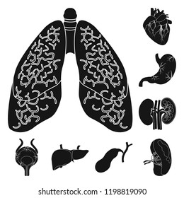 Vector illustration of body and human logo. Collection of body and medical stock vector illustration.